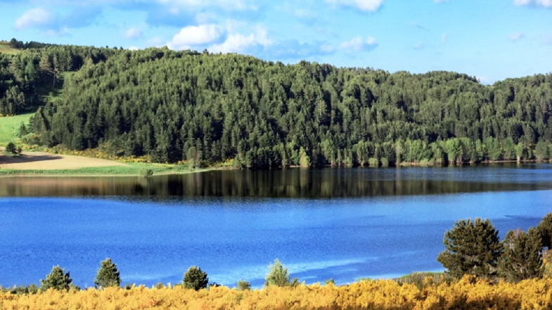 Agricoltura e turismo temi cardine del webinar organizzato dall’Ente Parco della Sila