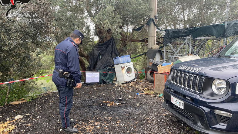 Lattarico, incendia rifiuti: denunciato