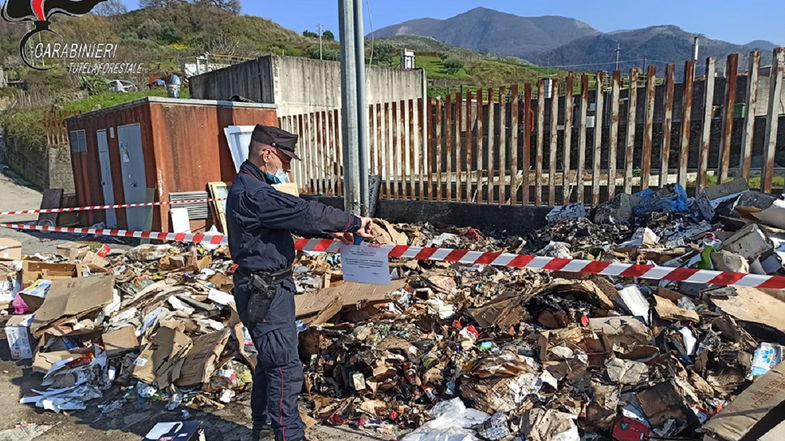 Verbicaro e San Nicola Arcella, denunce e sequestri in seguito ai controlli dei Carabinieri Forestali