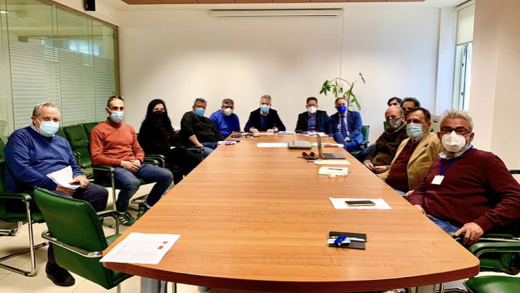 Processionaria: nuove strategie di lotta e prevenzione