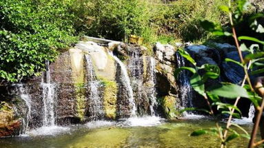 Primo maggio all’insegna della natura: organizzata una passeggiata ecologica nel parco del Coriglianeto