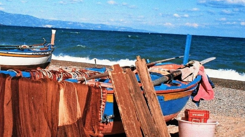 Pesca sperimentale della sardella, Martilotti: «Una rinuncia dolorosa per maggior trasparenza»
