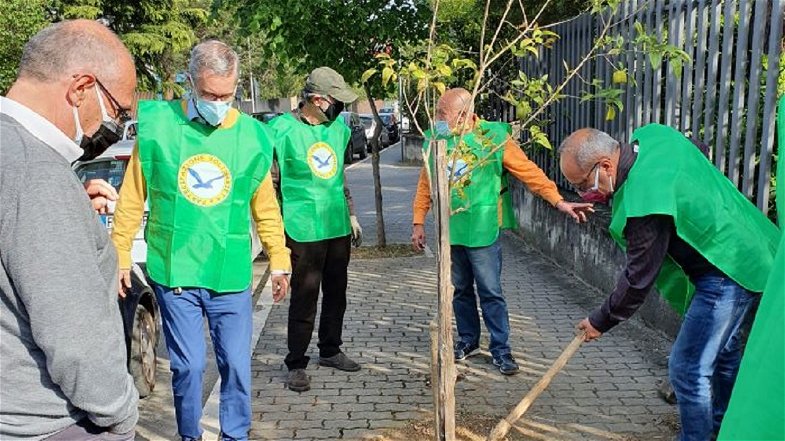 Castrovillari, l’associazione “Solidarietà e Partecipazione” in prima linea per la tutela e del verde pubblico