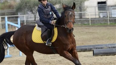 Il piccolo Nicolò Milieni di Crosia continua la sua ‘corsa’ a cavallo