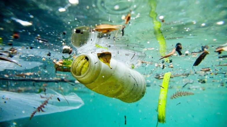 Spiagge plastic free, il 16 maggio il WWF fa