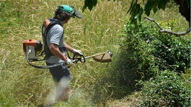 Caloveto, il sindaco Mazza ordina la pulizia dei terreni: «Igiene e sicurezza al primo posto»