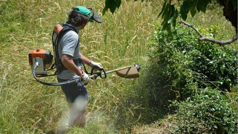 Caloveto, il sindaco Mazza ordina la pulizia dei terreni: «Igiene e sicurezza al primo posto»