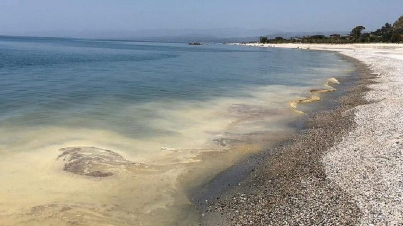 Ambiente, De Caprio «sul fenomeno della fioritura algale c’è bisogno di monitoraggio»