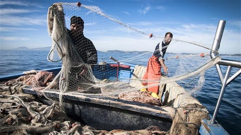 Covid, Parentela (M5s) chiede l'estensione dei sostegni ai lavoratori della pesca