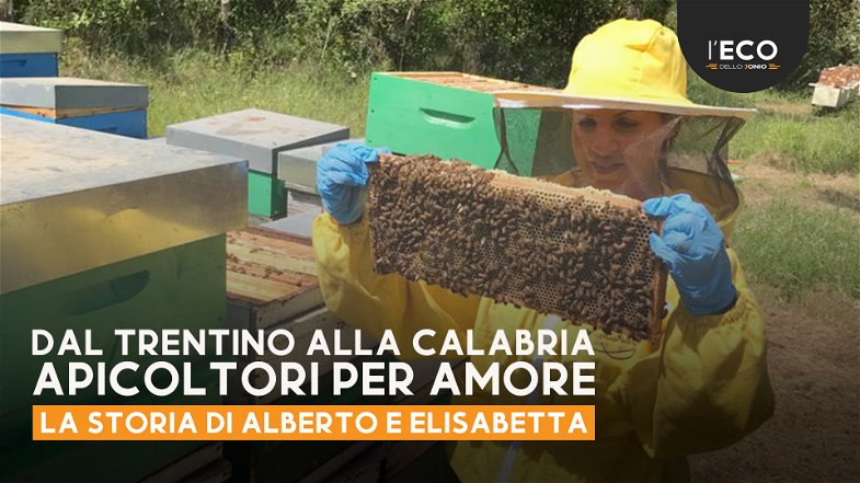 Alberto ed Elisabetta dal Trentino sono scesi in Calabria per amore delle api