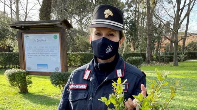 Un Albero per il futuro. A Castrovillari i Carabinieri insegnano ad amare la propria terra