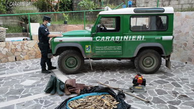 Pesca di frodo con generatore di corrente. I carabinieri forestali denunciano tre persone