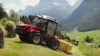 Dall’Europa 30 milioni per l’agricoltura calabrese delle zone montane o svantaggiate