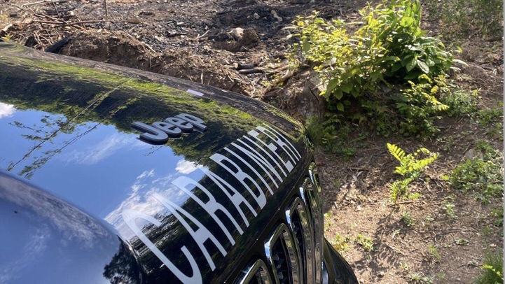 Bruciava pneumatici: denunciato dai Carabinieri Forestale