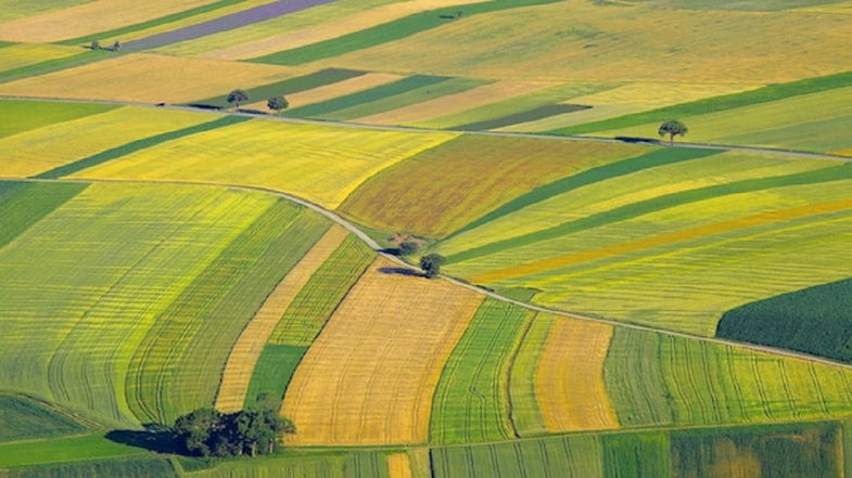 Agricoltura, sono in arrivo 7,5 milioni di euro per i pagamenti relativi alla domanda unica