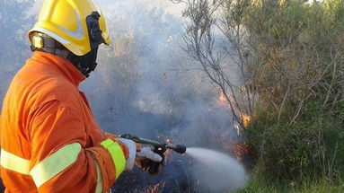 Calabria, inizio attività antincendio boschivo: «Mancano i dispositivi di sicurezza per il personale»