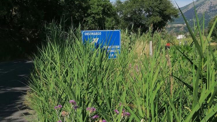 Degrado strade calabresi, Anas risponde subito alla denuncia della Lega