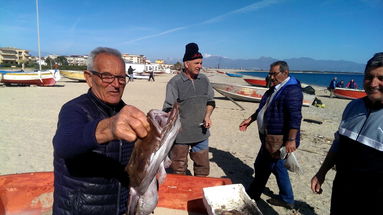 Il mondo della pesca torna a chiedere 