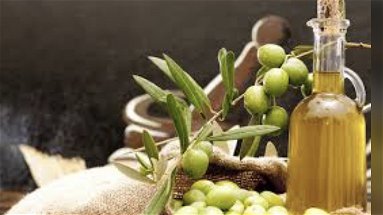 Olio d'oliva calabrese: «Solo difendendo la qualità possiamo tutelare il nostro lavoro»