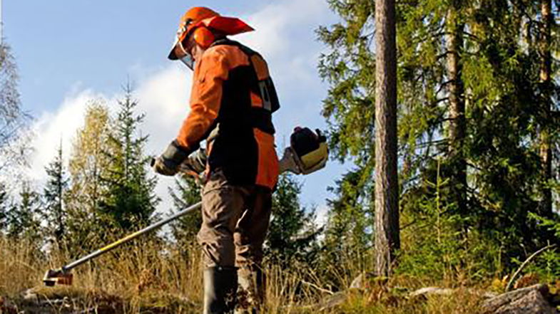 Mobilitazione unitaria regionale a sostegno del comparto idraulico-forestale martedì 22 giugno