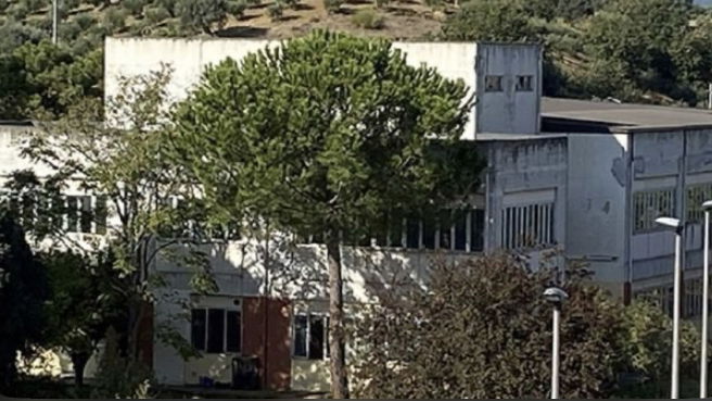 Terra e Popolo: «Denunciate e non lasciare in solitudine chi subisce atti dolosi»