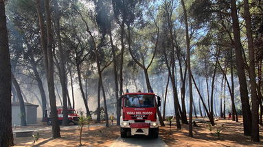 Incendio nella pineta di Sibari. Operativa la squadra boschiva di Schiavonea