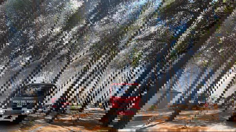 Incendio nella pineta di Sibari. Operativa la squadra boschiva di Schiavonea