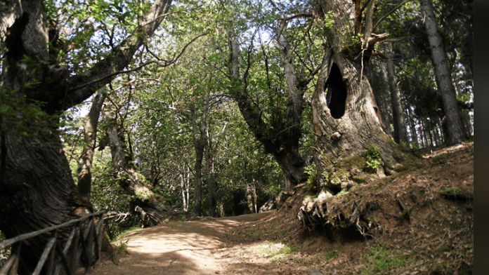 Terra e Popolo aderisce alla campagna 