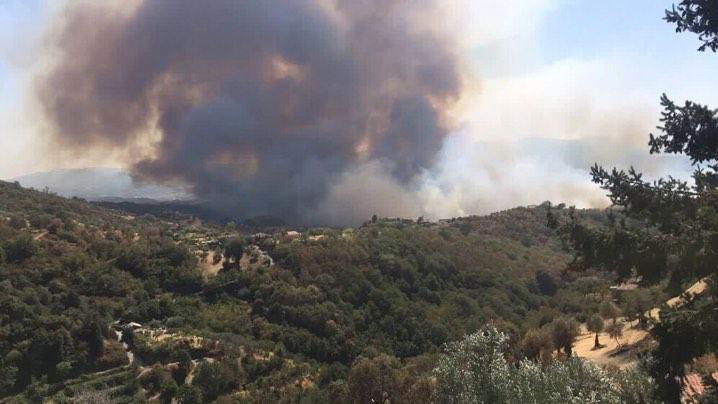 Provoca un incendio in Sila e si autodenuncia...a Vicenza