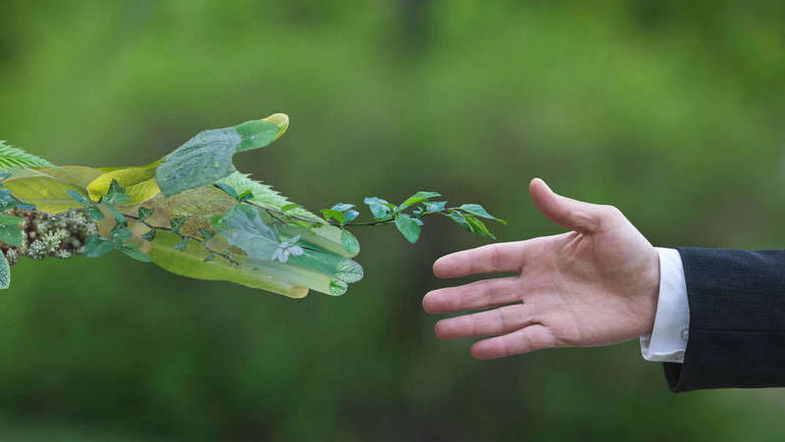 Unical sempre più green: stringe un accordo con Santo Domingo a beneficio della qualità di vita 