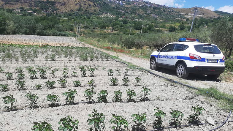 Saracena, uso illegittimo dell'acqua pubblica: arrivano le prime multe