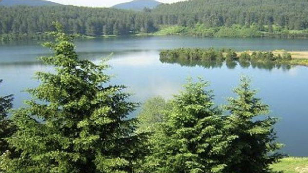 Il Parco Nazionale della Sila contro il Governo per il taglio dei fondi