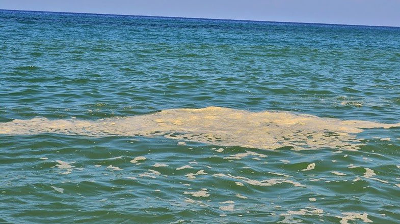 Rifiuti e mare sporco: «Fallimento completo dell'attuale giunta regionale»