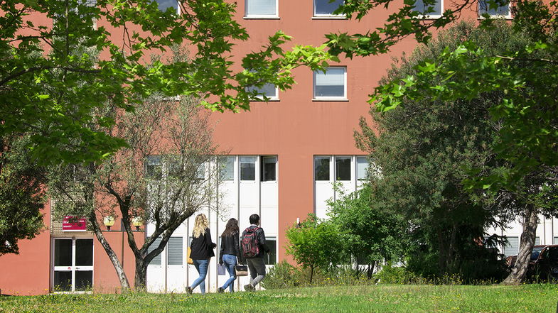 L’Unical attiva i pre-corsi per i futuri studenti 