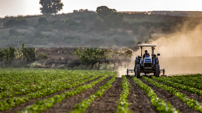Passa alla Camera la conversione del Decreto sostegni Bis: «160 milioni per l’agricoltura calabrese»