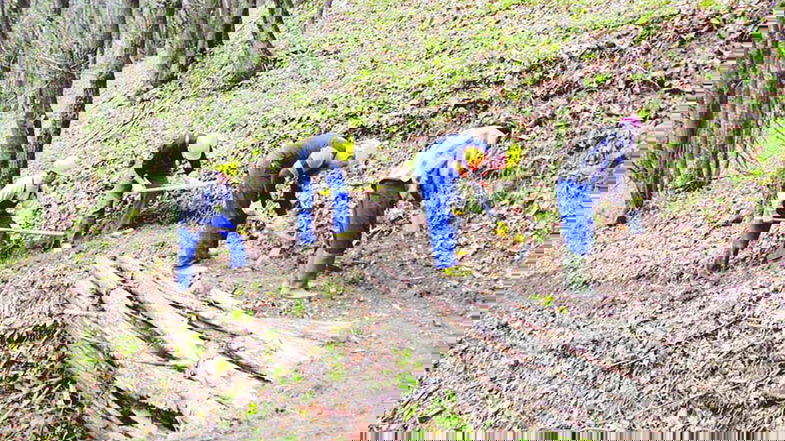 Forestazione calabrese: in caso di assenza di soluzioni concrete, i sindacati si preparano allo sciopero