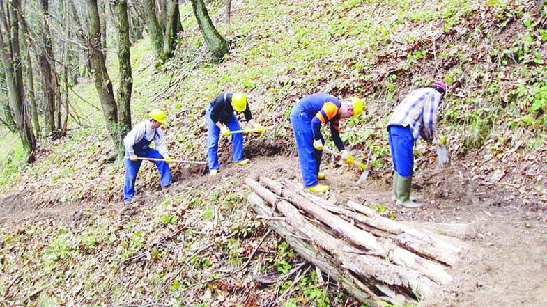 Forestazione calabrese: in caso di assenza di soluzioni concrete, i sindacati si preparano allo sciopero