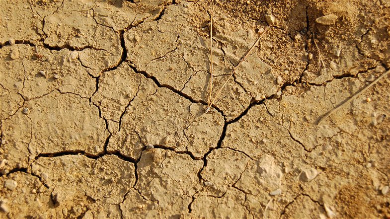 Corigliano-Rossano, disagio idrico: «Agricoltura penalizzata dalla mancanza d’acqua»
