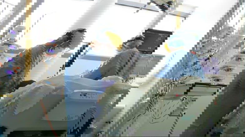 Covid, in Calabria aumento dei ricoveri (+3) e tasso tamponi positivi sale al 5,16% - TUTTI I NUMERI DEL CONTAGIO