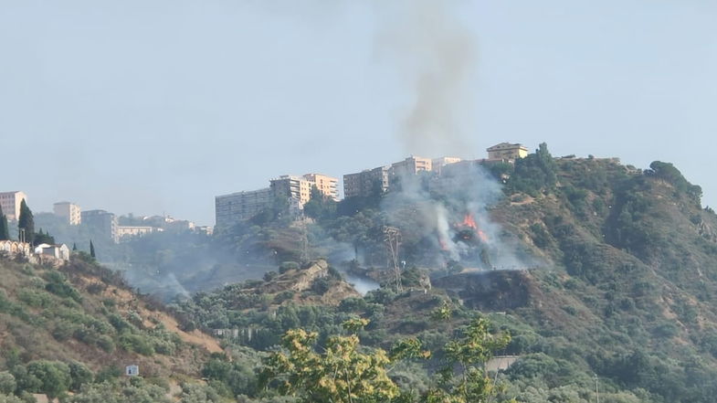 Incendio a Corigliano-Rossano lungo la provinciale 188