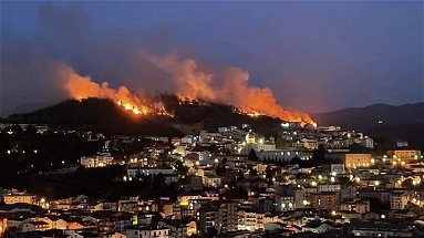 La Calabria brucia: «Lo Stato ha abbandonato il Sud»