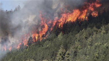 Incendi in Calabria, Guccione: «Situazione dovuta a scelte sbagliate»