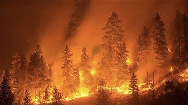 Incendi, Bevacqua (Pd): «Il mio progetto “Montagna solidale” potrebbe prevenire quest’inferno»
