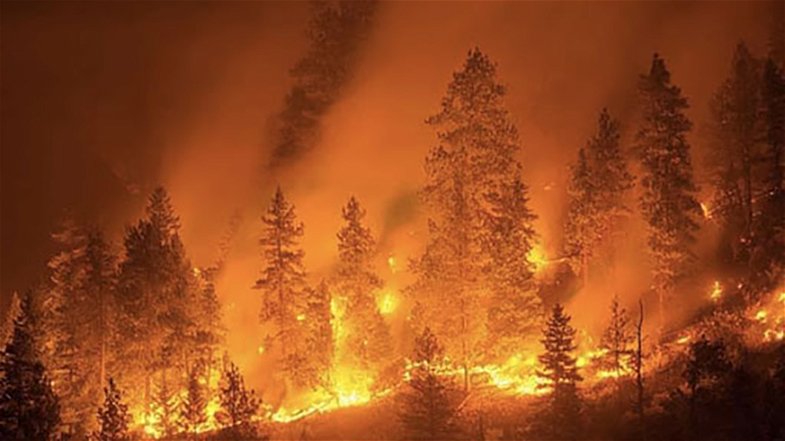 Incendi, Bevacqua (Pd): «Il mio progetto “Montagna solidale” potrebbe prevenire quest’inferno»
