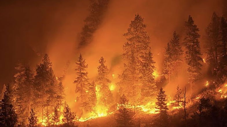 Incendi, Bevacqua (Pd): «Il mio progetto “Montagna solidale” potrebbe prevenire quest’inferno»