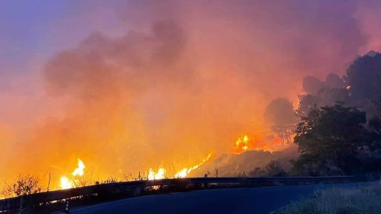 Calabria in fiamme. Lega chiede misure immediate per sostegno aziende: «A chi giova la devastazione?»