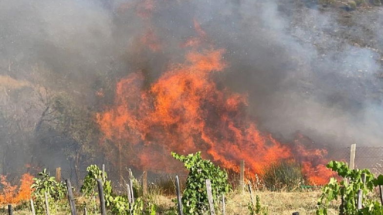 Sugli incendi sindaci e comuni «sono decisivi per fronteggiare emergenza»