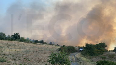 Vasto incendio a Oriolo, salvata dalle fiamme un'azienda agricola. Lavoro incessante di Vigili del Fuoco e Calabria Verde 