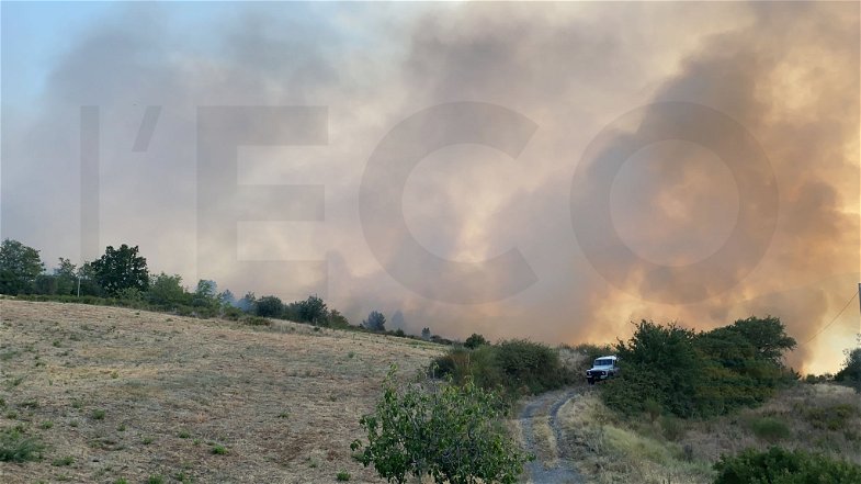 Vasto incendio a Oriolo, salvata dalle fiamme un'azienda agricola. Lavoro incessante di Vigili del Fuoco e Calabria Verde 