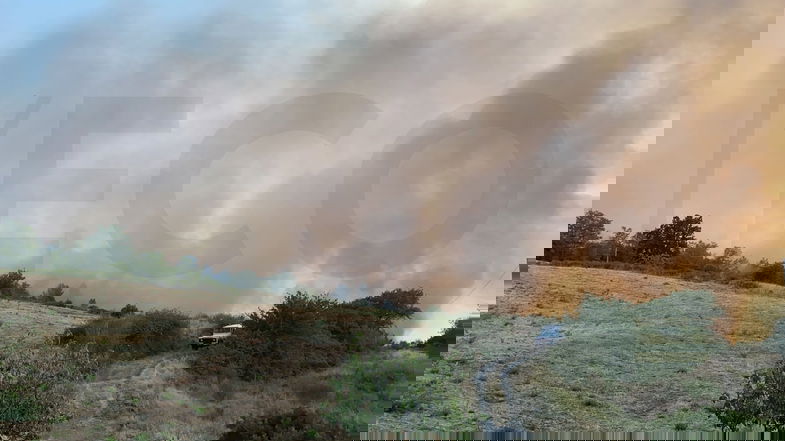 Vasto incendio a Oriolo, salvata dalle fiamme un'azienda agricola. Lavoro incessante di Vigili del Fuoco e Calabria Verde